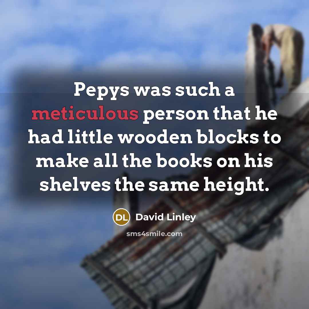 “Pepys was such a meticulous person that he had little wooden blocks to make all the books on his shelves the same height.” quote by David Linley