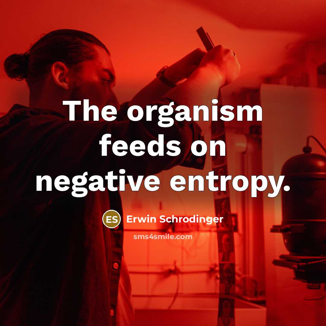 “The organism feeds on negative entropy.” quote by Erwin Schrodinger