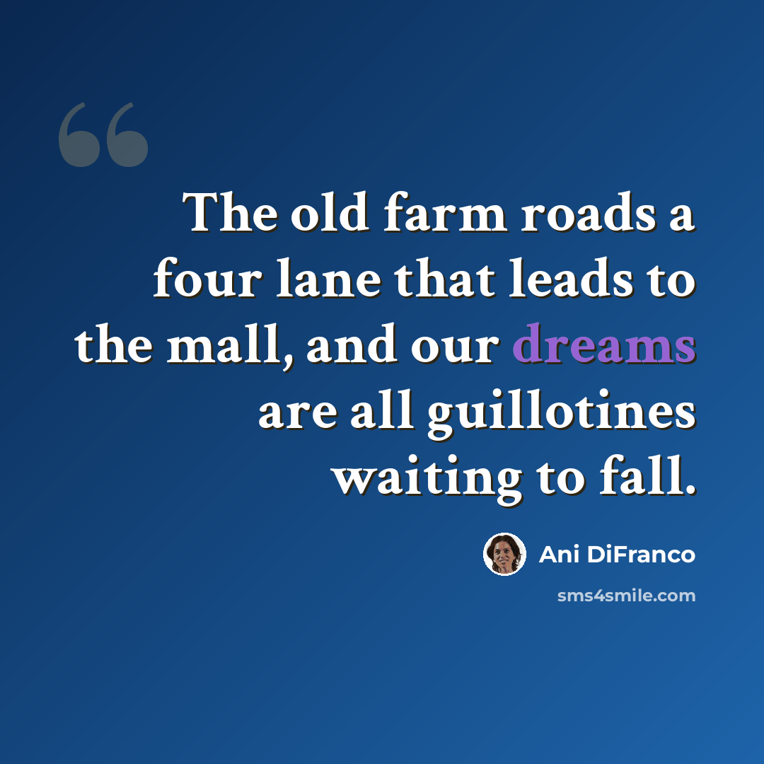 “The old farm roads a four lane that leads to the mall, and our dreams are all guillotines waiting to fall.” quote by Ani DiFranco