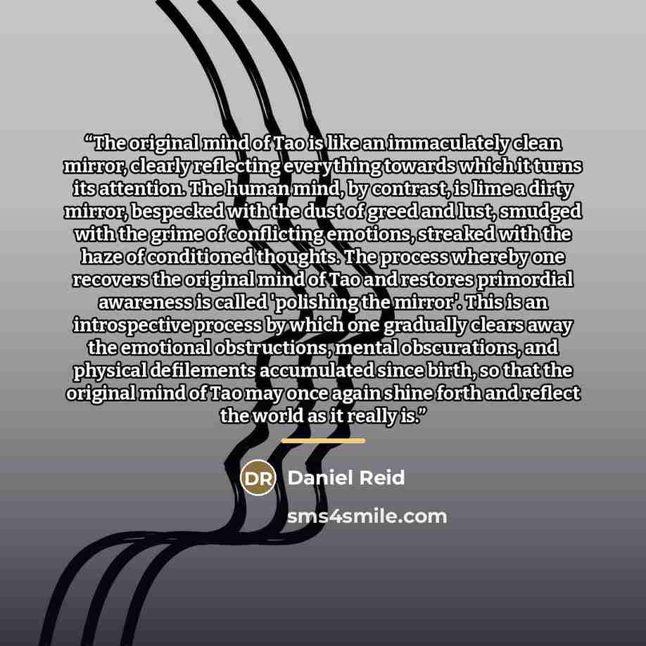 “The original mind of Tao is like an immaculately clean mirror, clearly reflecting everything towards which it turns its attention. The human mind, by contrast, is lime a dirty mirror, bespecked with the dust of greed and lust, smudged with the grime of conflicting emotions, streaked with the haze…” quote by Daniel Reid