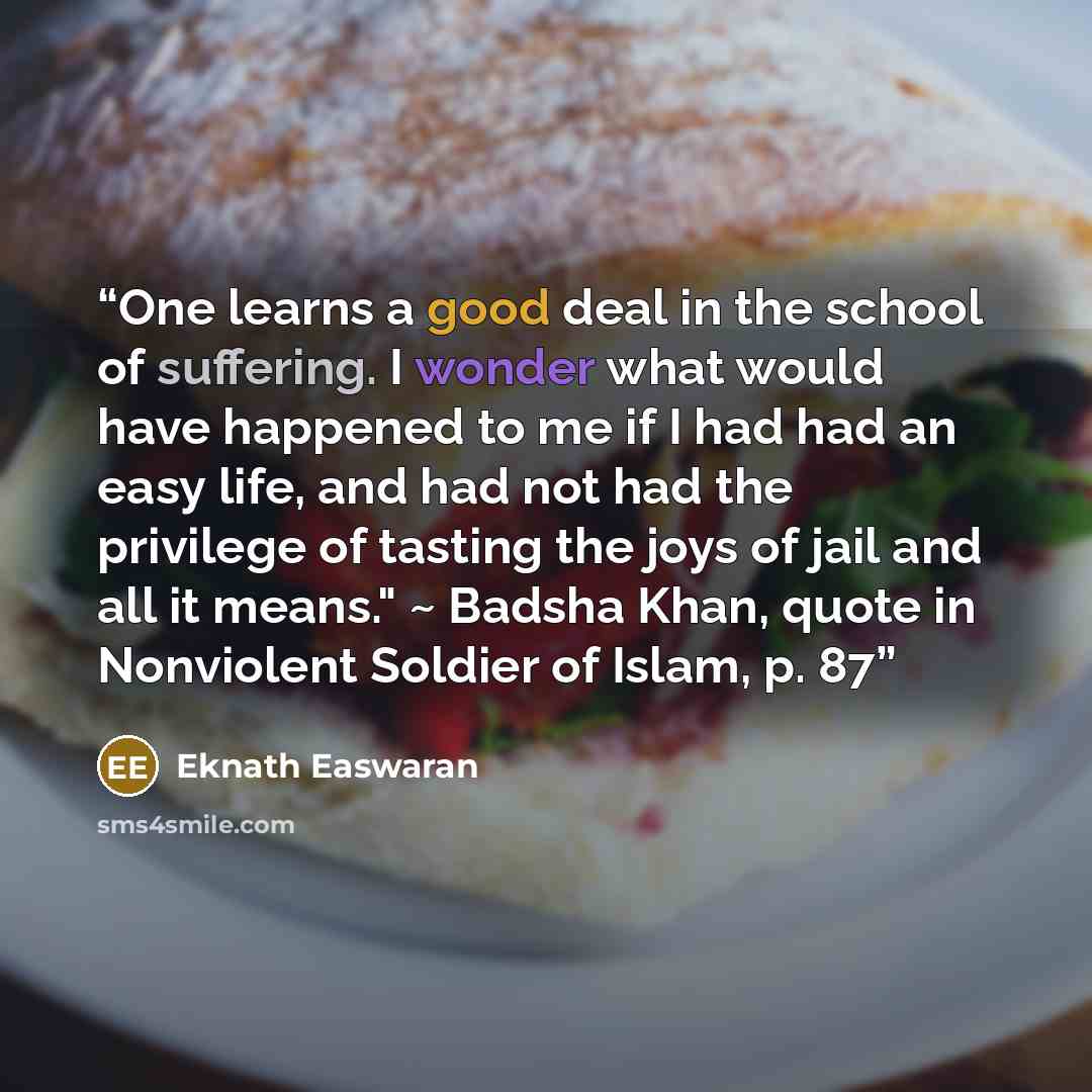 “One learns a good deal in the school of suffering. I wonder what would have happened to me if I had had an easy life, and had not had the privilege of tasting the joys of jail and all it means." ~ Badsha Khan, quote in Nonviolent Soldier of Islam, p. 87” quote by Eknath Easwaran
