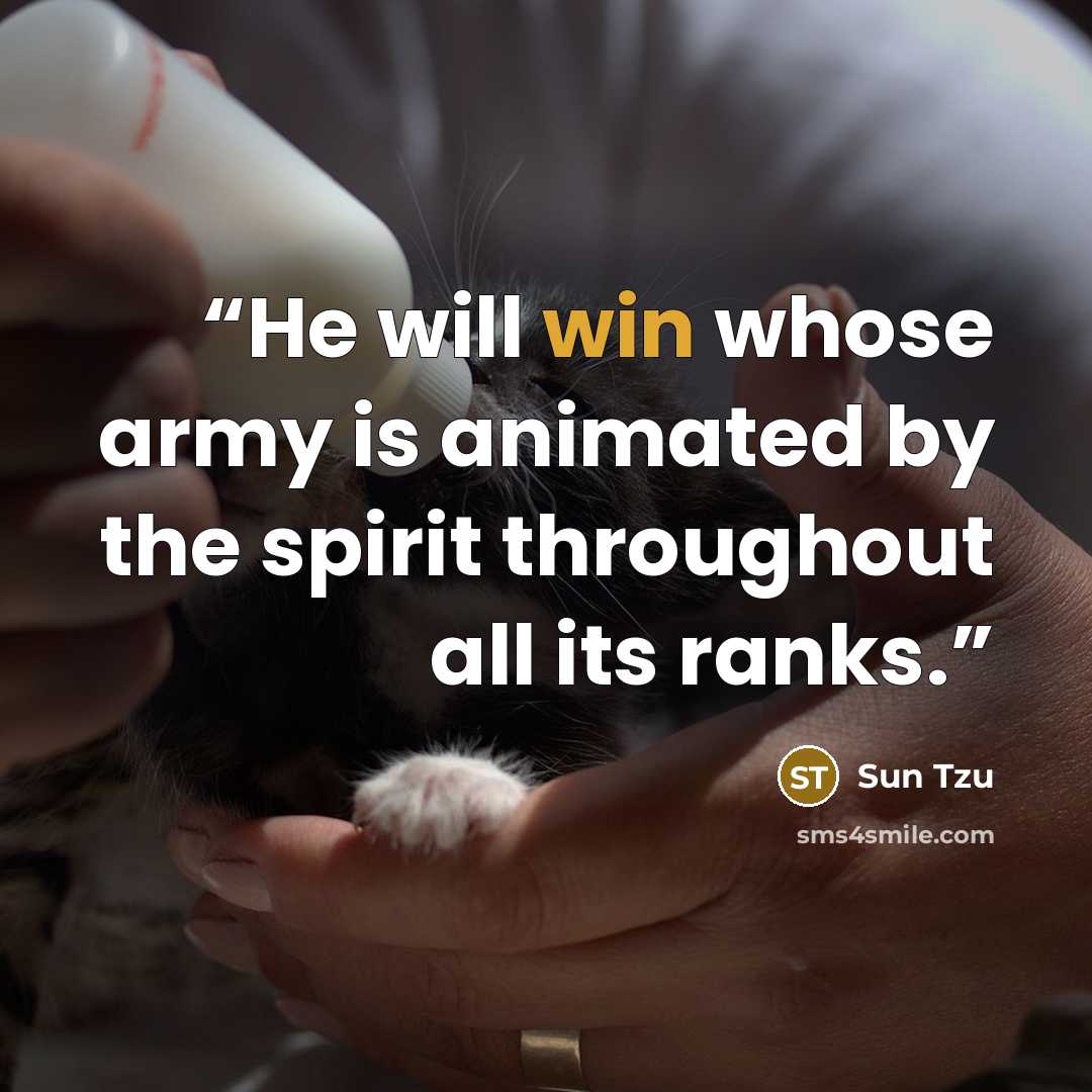 “He will win whose army is animated by the spirit throughout all its ranks.” quote by Sun Tzu
