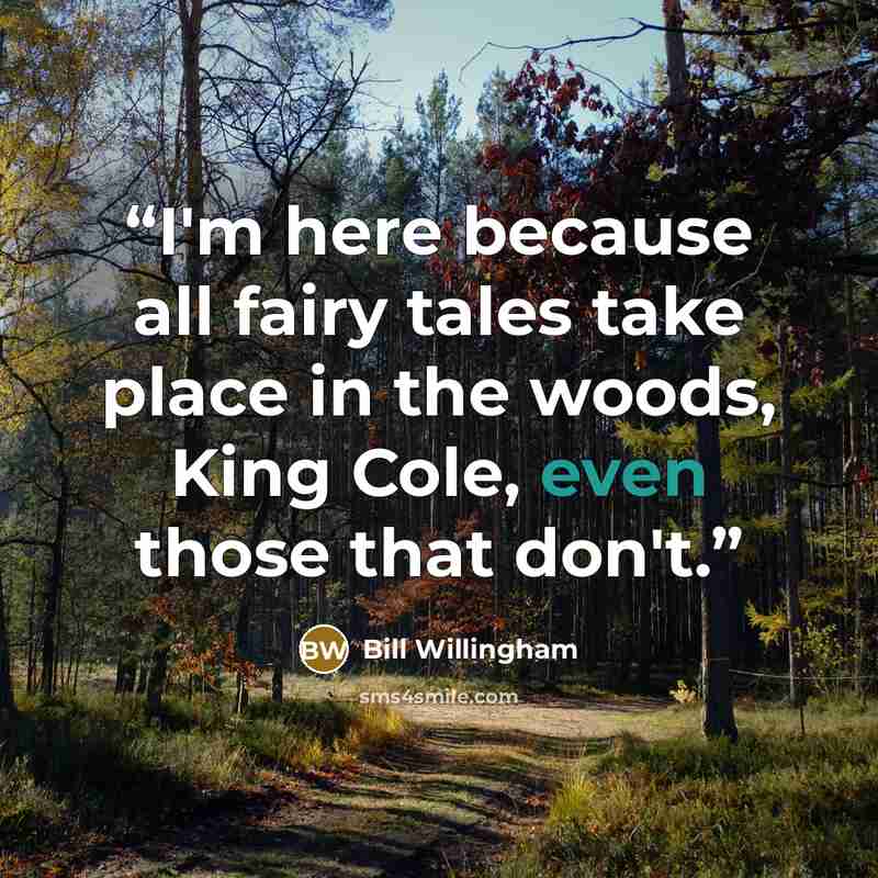 “I'm here because all fairy tales take place in the woods, King Cole, even those that don't.” quote by Bill Willingham