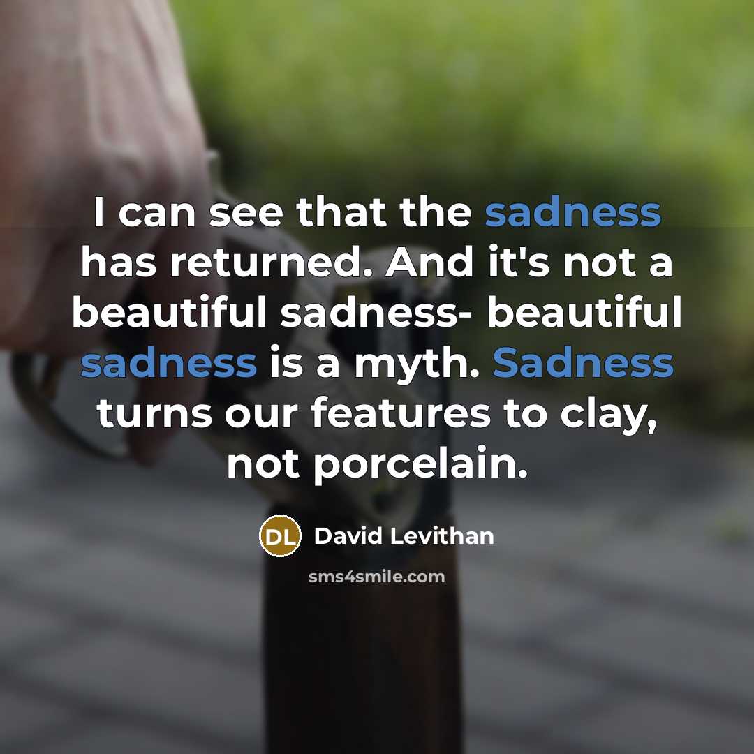 “I can see that the sadness has returned. And it's not a beautiful sadness- beautiful sadness is a myth. Sadness turns our features to clay, not porcelain.” quote by David Levithan