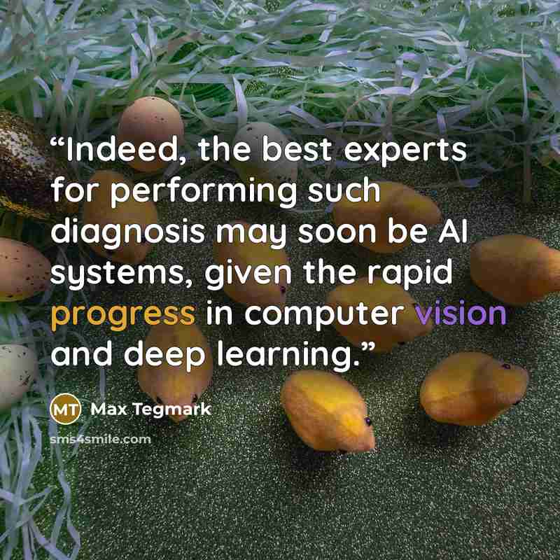 “Indeed, the best experts for performing such diagnosis may soon be AI systems, given the rapid progress in computer vision and deep learning.” quote by Max Tegmark