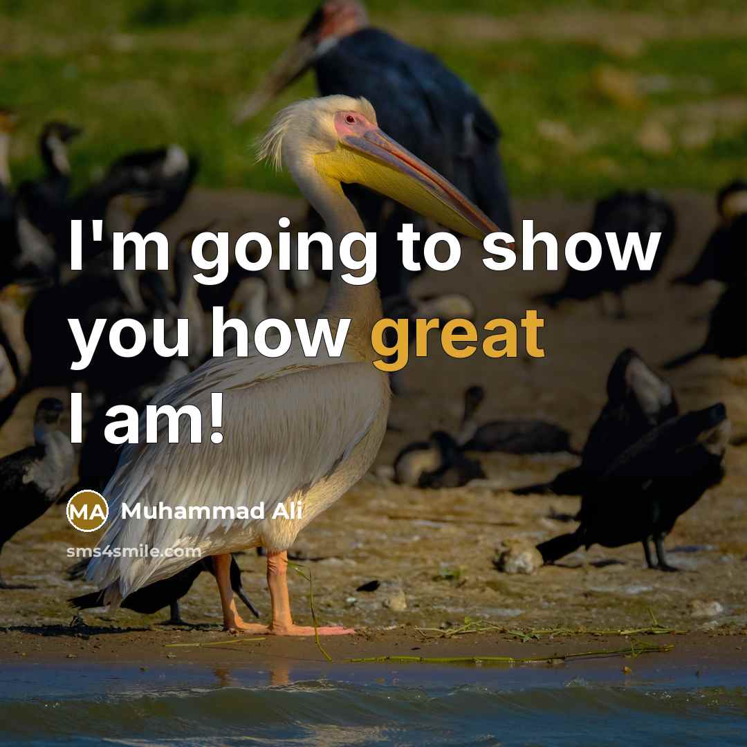 “I'm going to show you how great I am!” quote by Muhammad Ali