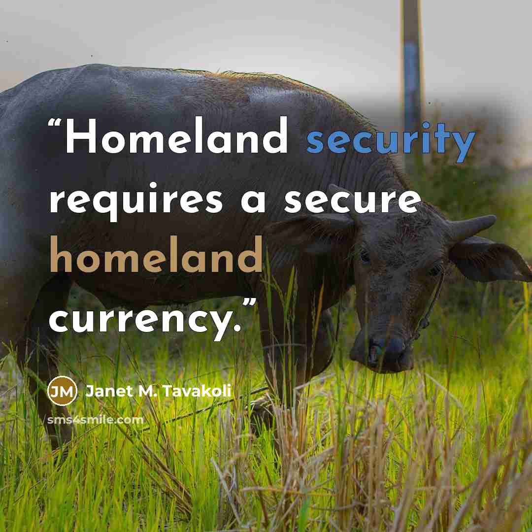 “Homeland security requires a secure homeland currency.” quote by Janet M. Tavakoli