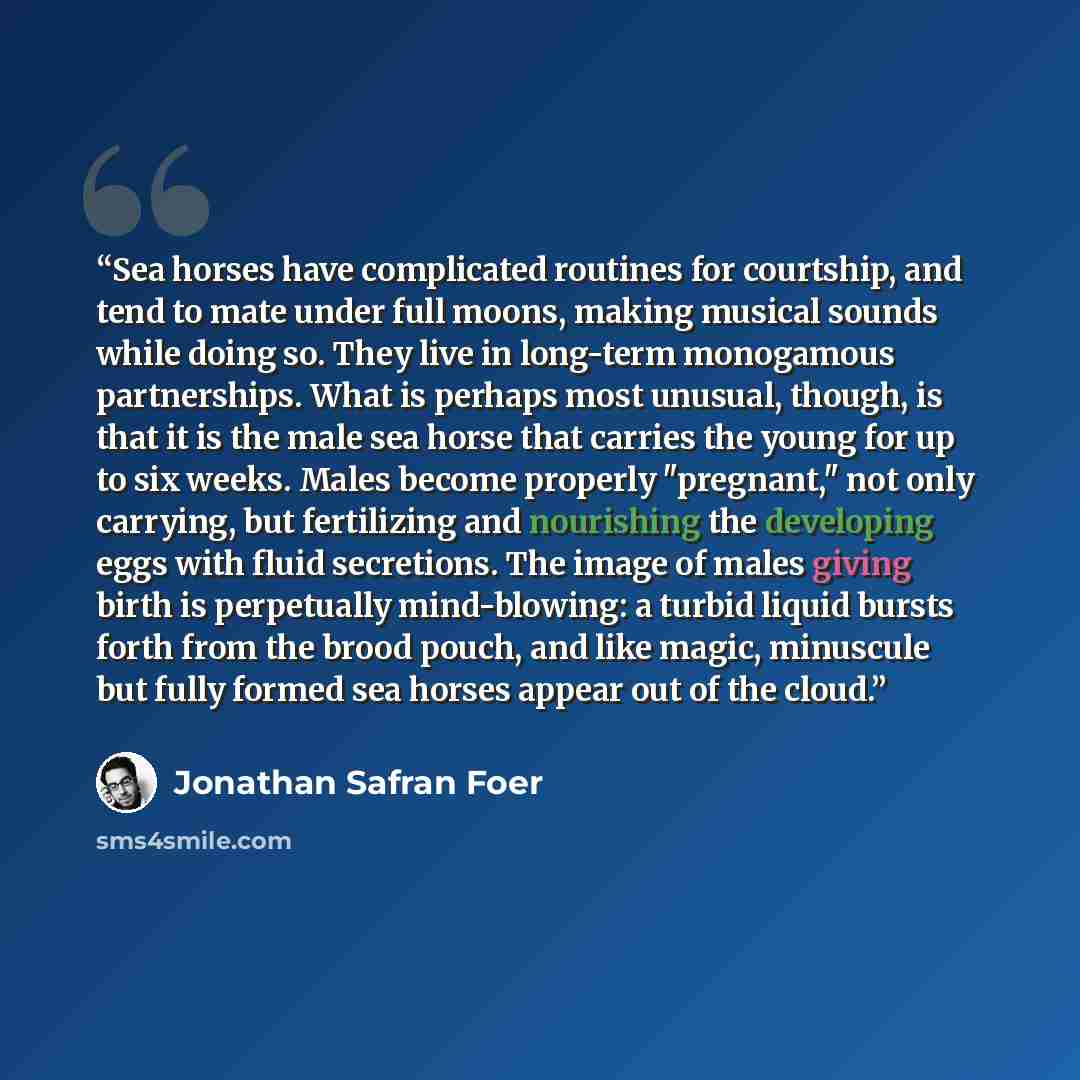 “Sea horses have complicated routines for courtship, and tend to mate under full moons, making musical sounds while doing so. They live in long-term monogamous partnerships. What is perhaps most unusual, though, is that it is the male sea horse that carries the young for up to six weeks. Males…” quote by Jonathan Safran Foer