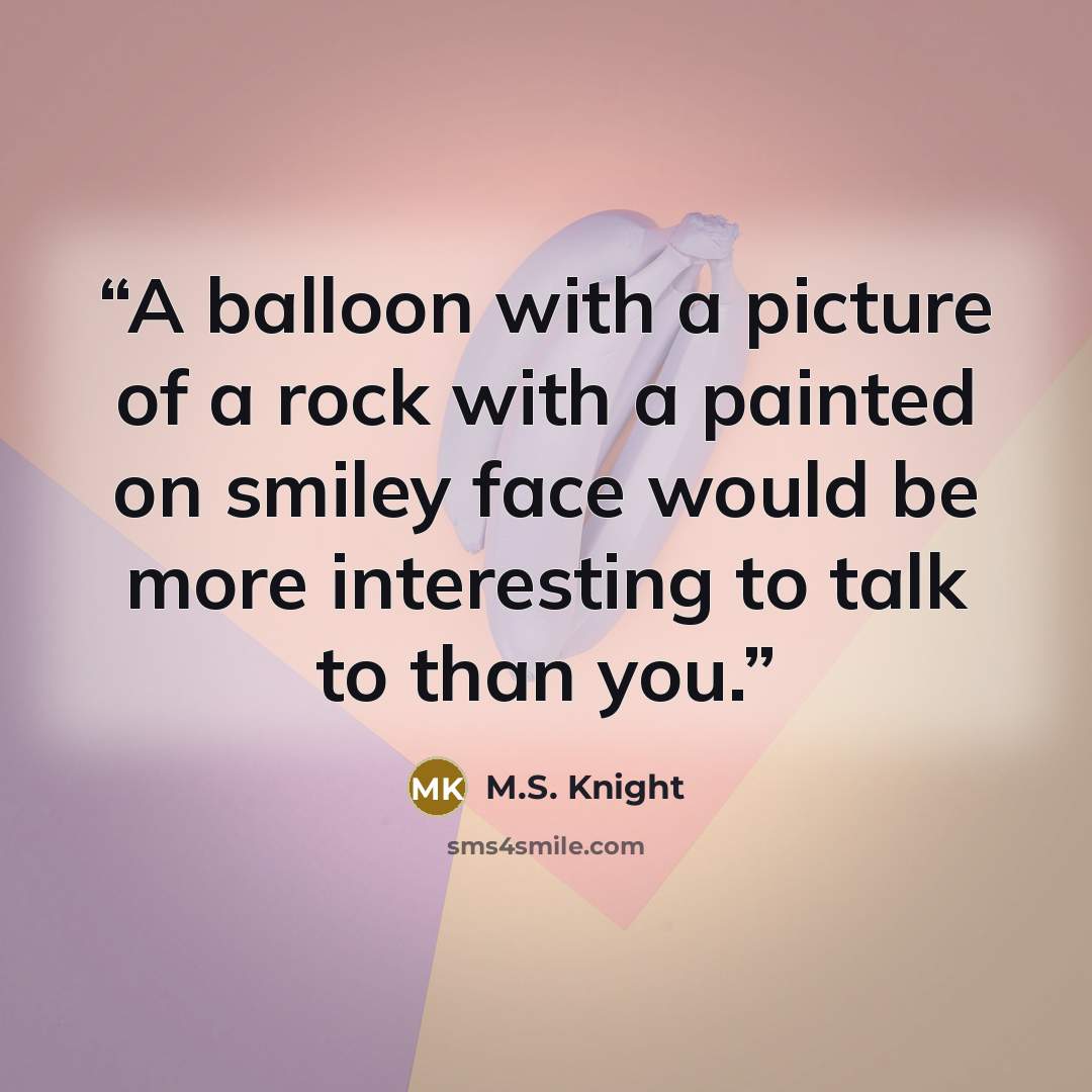 “A balloon with a picture of a rock with a painted on smiley face would be more interesting to talk to than you.” quote by M.S. Knight
