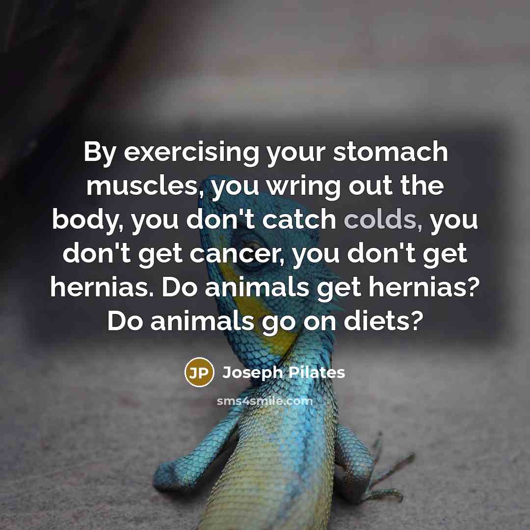 “By exercising your stomach muscles, you wring out the body, you don't catch colds, you don't get cancer, you don't get hernias. Do animals get hernias? Do animals go on diets?” quote by Joseph Pilates