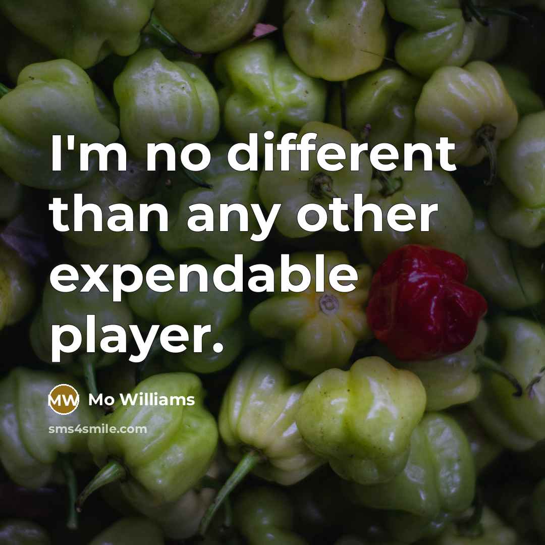 “I'm no different than any other expendable player.” quote by Mo Williams