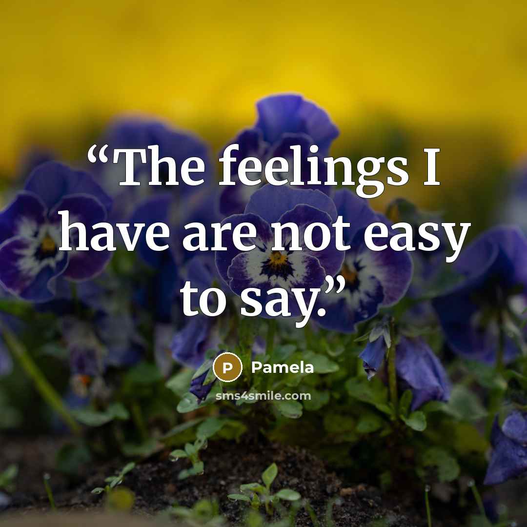 “The feelings I have are not easy to say.” quote by Pamela