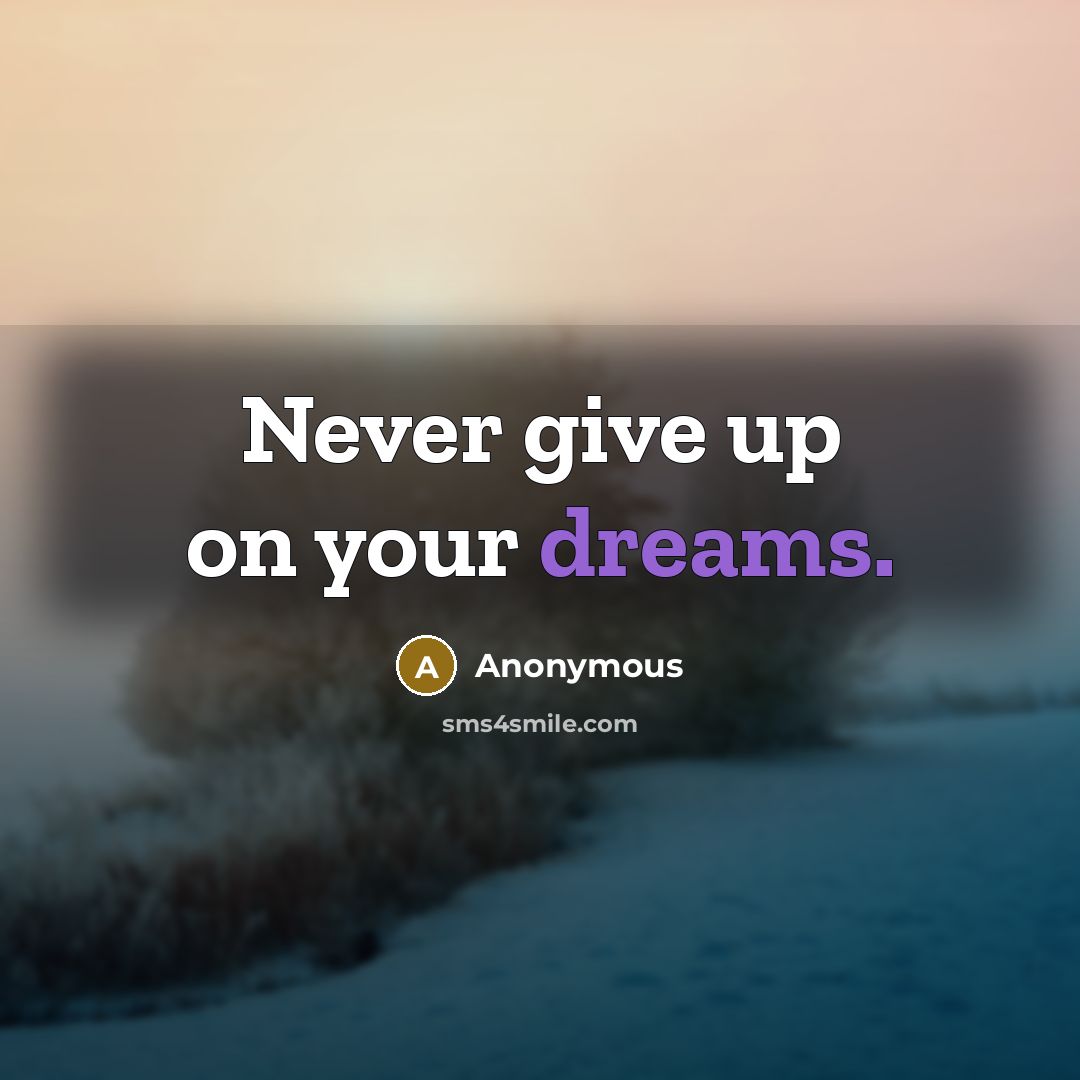 “Never give up on your dreams.” quote by Anonymous