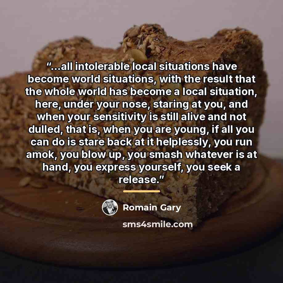 “...all intolerable local situations have become world situations, with the result that the whole world has become a local situation, here, under your nose, staring at you, and when your sensitivity is still alive and not dulled, that is, when you are young, if all you can do is stare back at it…” quote by Romain Gary