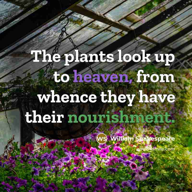 “The plants look up to heaven, from whence they have their nourishment.” quote by William Shakespeare