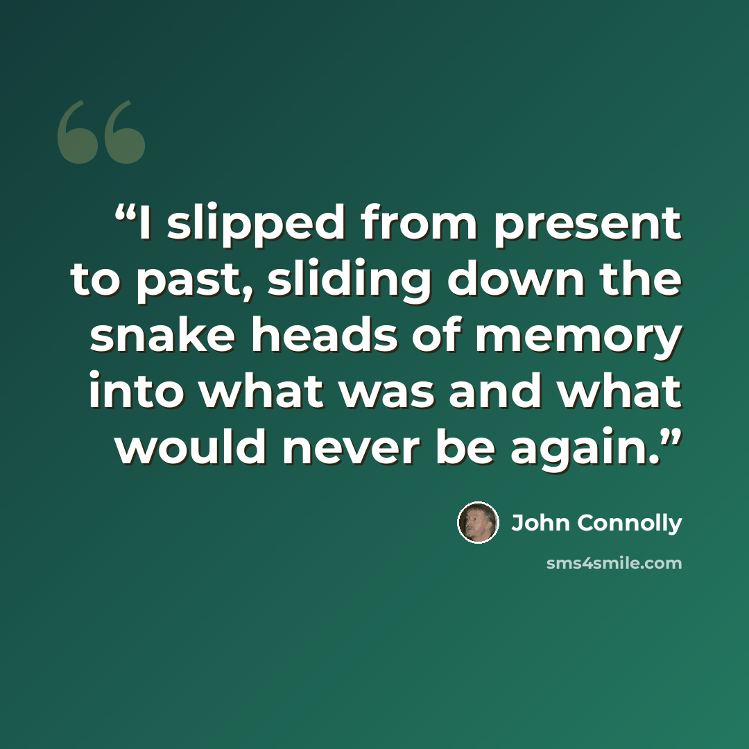“I slipped from present to past, sliding down the snake heads of memory into what was and what would never be again.” quote by John Connolly