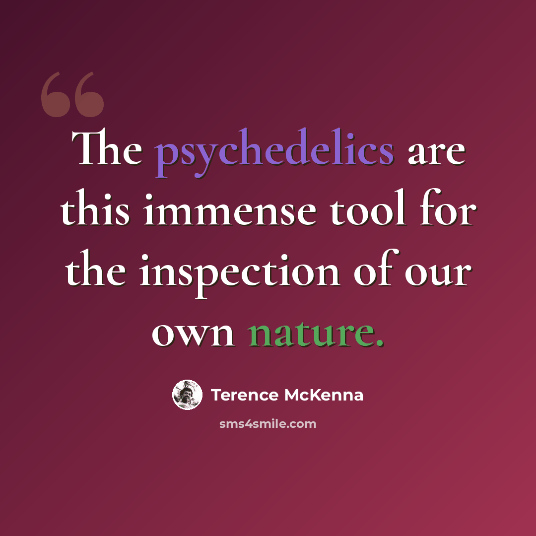 “The psychedelics are this immense tool for the inspection of our own nature.” quote by Terence McKenna