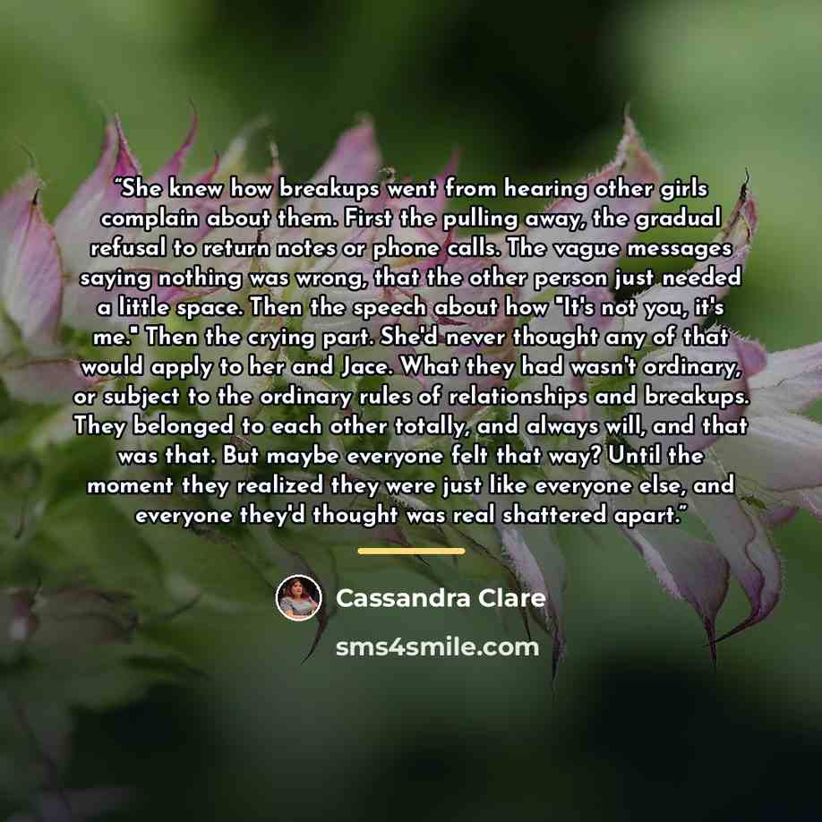 “She knew how breakups went from hearing other girls complain about them. First the pulling away, the gradual refusal to return notes or phone calls. The vague messages saying nothing was wrong, that the other person just needed a little space. Then the speech about how "It's not you, it's me."…” quote by Cassandra Clare