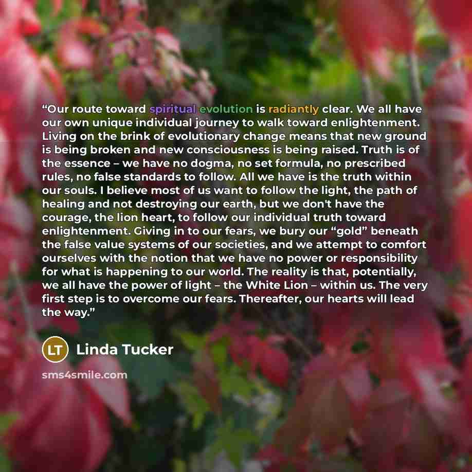 “Our route toward spiritual evolution is radiantly clear. We all have our own unique individual journey to walk toward enlightenment. Living on the brink of evolutionary change means that new ground is being broken and new consciousness is being raised. Truth is of the essence – we have no dogma…” quote by Linda Tucker