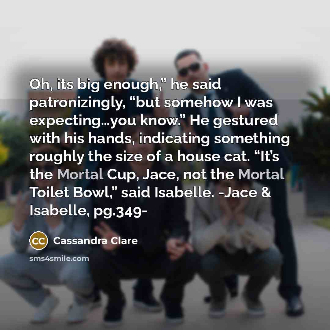 “Oh, its big enough,” he said patronizingly, “but somehow I was expecting…you know.” He gestured with his hands, indicating something roughly the size of a house cat. “It’s the Mortal Cup, Jace, not the Mortal Toilet Bowl,” said Isabelle. -Jace & Isabelle, pg.349-” quote by Cassandra Clare