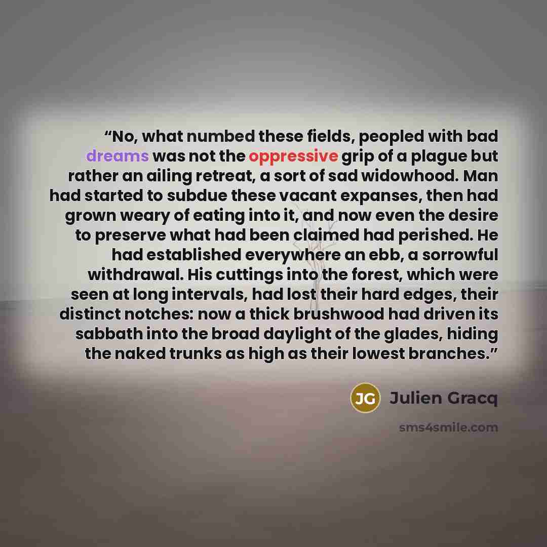 “No, what numbed these fields, peopled with bad dreams was not the oppressive grip of a plague but rather an ailing retreat, a sort of sad widowhood. Man had started to subdue these vacant expanses, then had grown weary of eating into it, and now even the desire to preserve what had been claimed…” quote by Julien Gracq