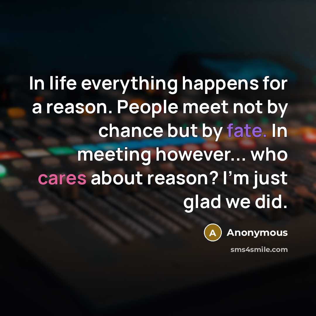 “In life everything happens for a reason. People meet not by chance but by fate. In meeting however... who cares about reason? I'm just glad we did.” quote by Anonymous