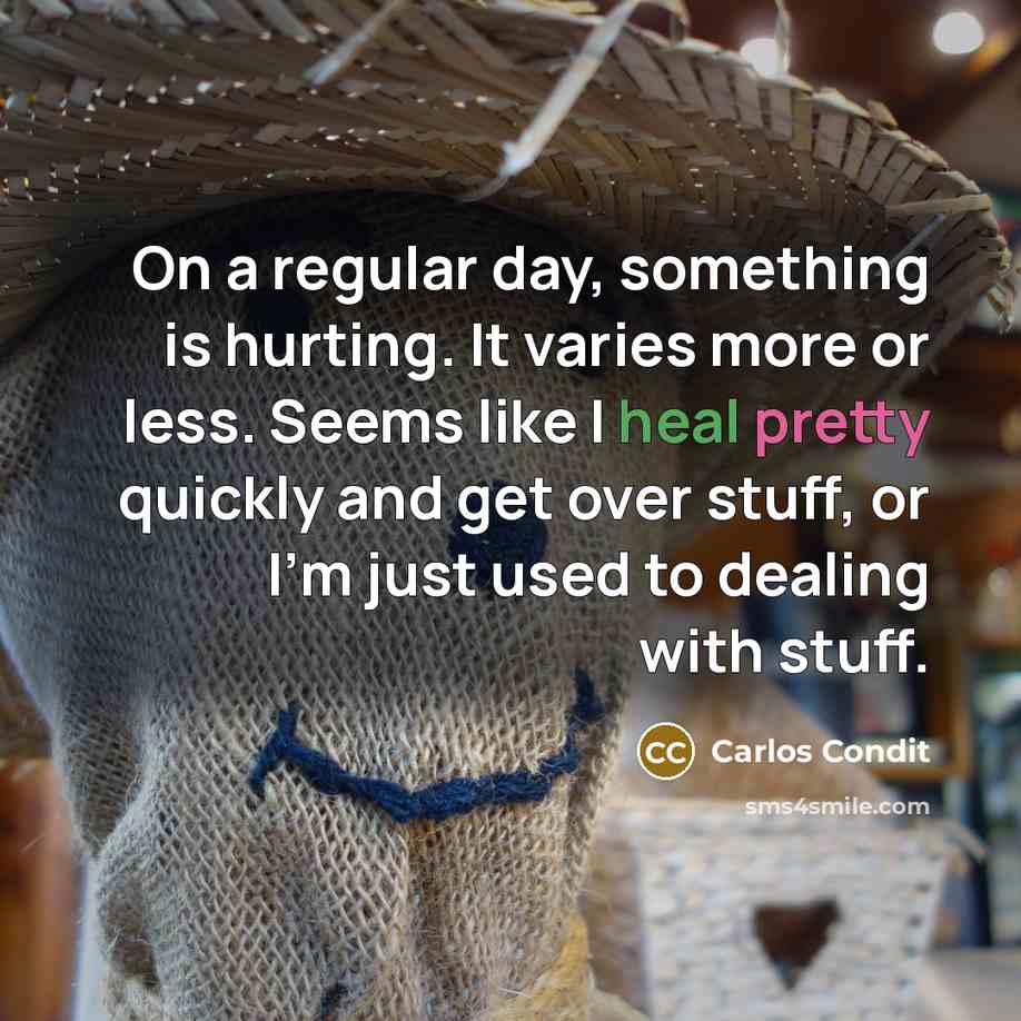 “On a regular day, something is hurting. It varies more or less. Seems like I heal pretty quickly and get over stuff, or I'm just used to dealing with stuff.” quote by Carlos Condit