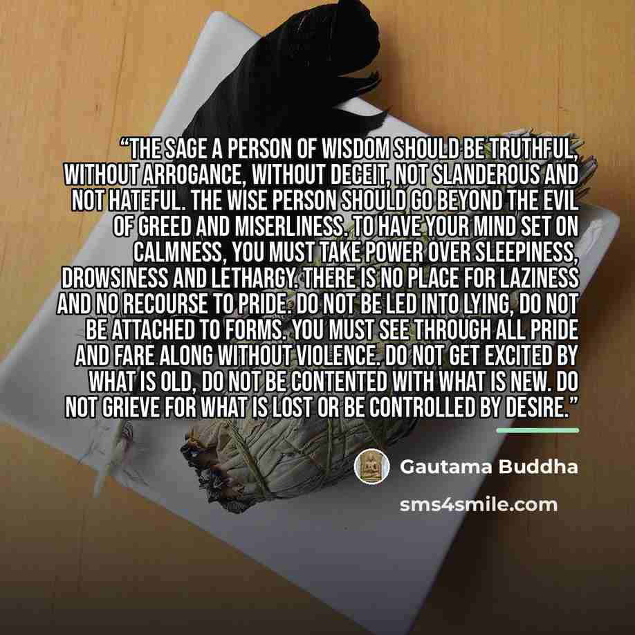 “The Sage A person of wisdom should be truthful, without arrogance, without deceit, not slanderous and not hateful. The wise person should go beyond the evil of greed and miserliness. To have your mind set on calmness, you must take power over sleepiness, drowsiness and lethargy. There is no place…” quote by Gautama Buddha