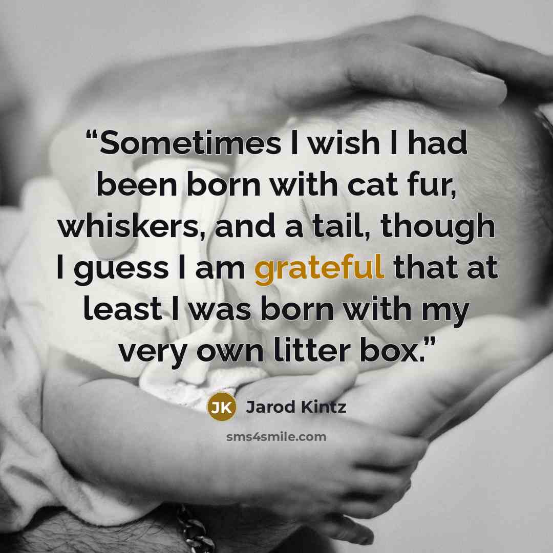 “Sometimes I wish I had been born with cat fur, whiskers, and a tail, though I guess I am grateful that at least I was born with my very own litter box.” quote by Jarod Kintz