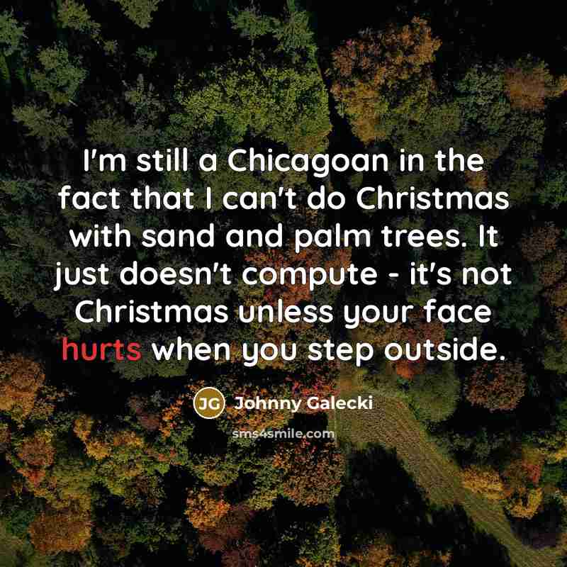 “I'm still a Chicagoan in the fact that I can't do Christmas with sand and palm trees. It just doesn't compute - it's not Christmas unless your face hurts when you step outside.” quote by Johnny Galecki