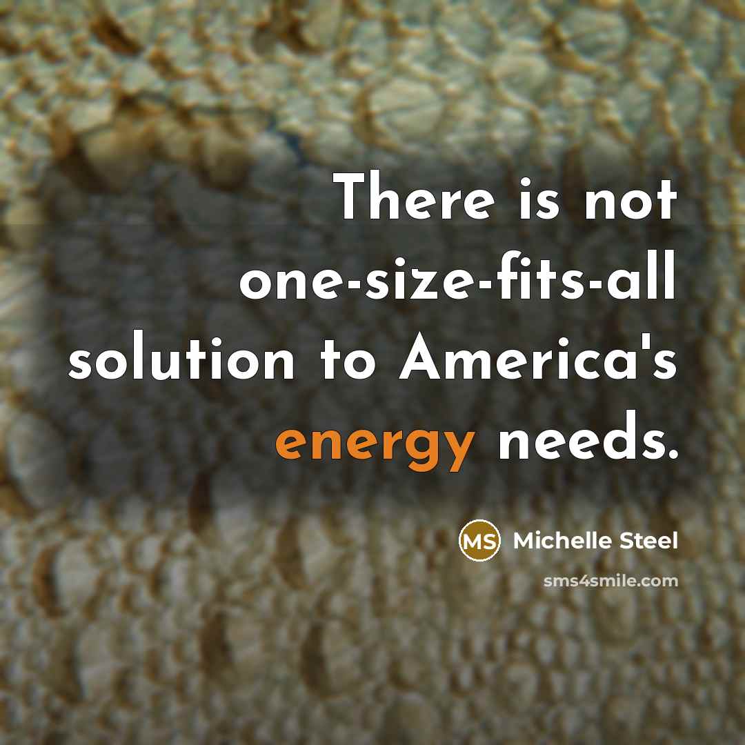 “There is not one-size-fits-all solution to America's energy needs.” quote by Michelle Steel
