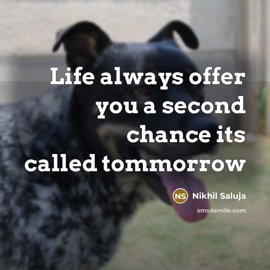 “Life always offer you a second chance its called tommorrow” quote by Nikhil Saluja