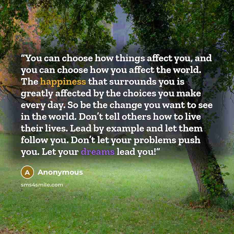 “You can choose how things affect you, and you can choose how you affect the world. The happiness that surrounds you is greatly affected by the choices you make every day. So be the change you want to see in the world. Don’t tell others how to live their lives. Lead by example and let them follow…” quote by Anonymous
