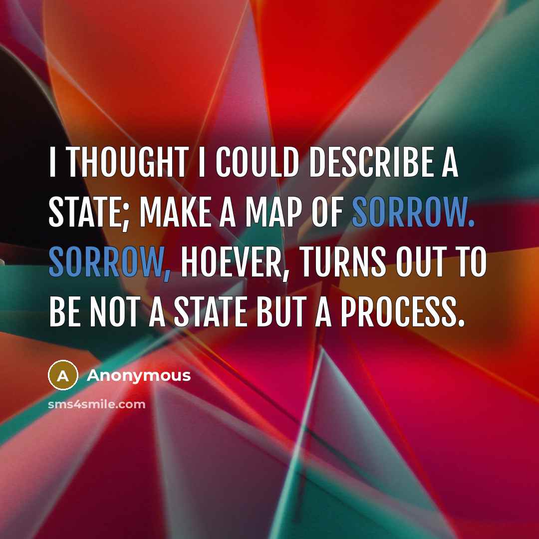 “I thought I could describe a state; make a map of sorrow. Sorrow, hoever, turns out to be not a state but a process.” quote by Anonymous