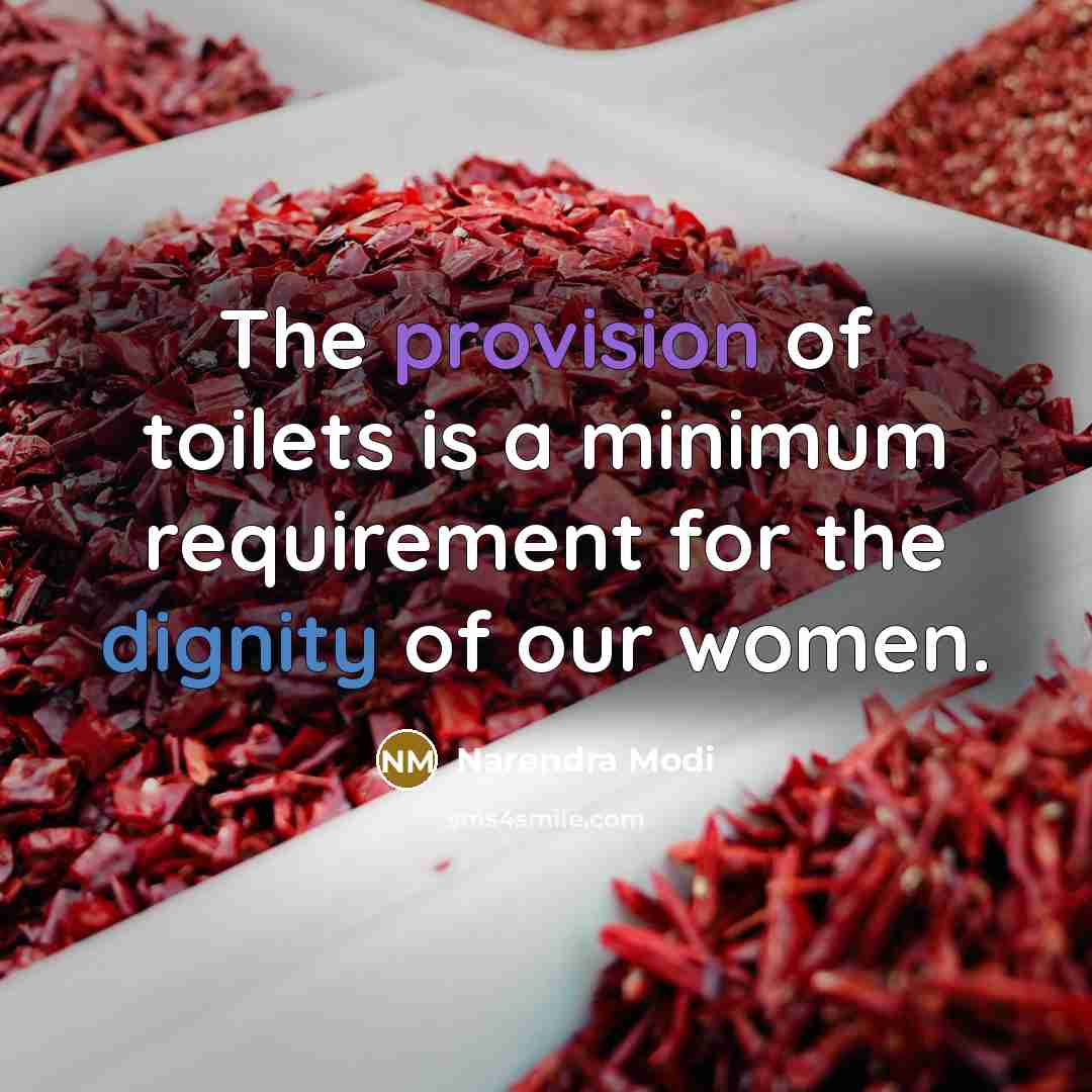 “The provision of toilets is a minimum requirement for the dignity of our women.” quote by Narendra Modi