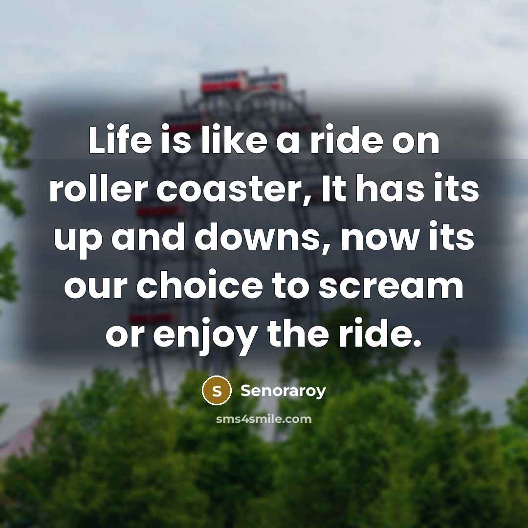 “Life is like a ride on roller coaster, It has its up and downs, now its our choice to scream or enjoy the ride.” quote by Senoraroy
