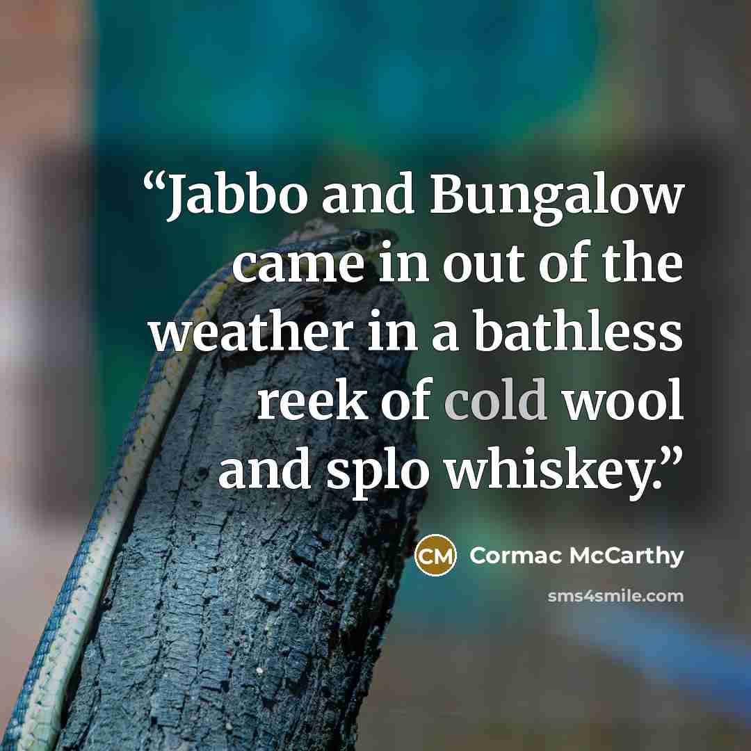 “Jabbo and Bungalow came in out of the weather in a bathless reek of cold wool and splo whiskey.” quote by Cormac McCarthy