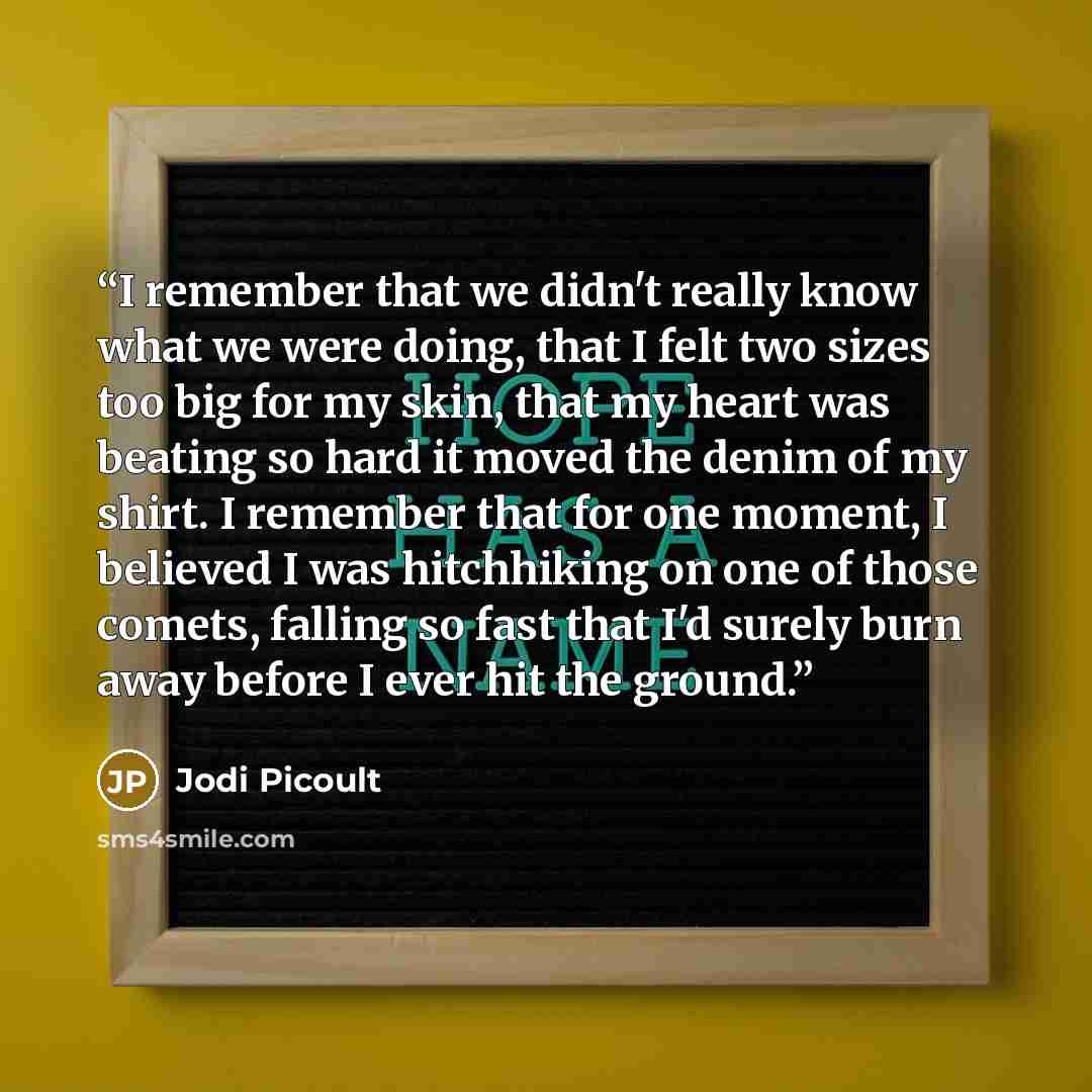 “I remember that we didn't really know what we were doing, that I felt two sizes too big for my skin, that my heart was beating so hard it moved the denim of my shirt. I remember that for one moment, I believed I was hitchhiking on one of those comets, falling so fast that I'd surely burn away…” quote by Jodi Picoult