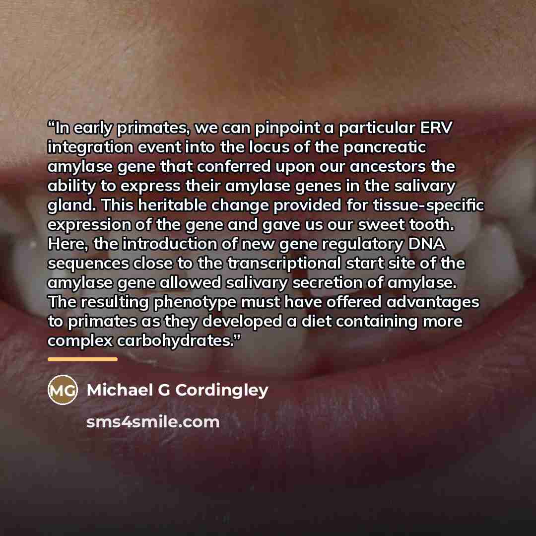 “In early primates, we can pinpoint a particular ERV integration event into the locus of the pancreatic amylase gene that conferred upon our ancestors the ability to express their amylase genes in the salivary gland. This heritable change provided for tissue-specific expression of the gene and gave…” quote by Michael G Cordingley