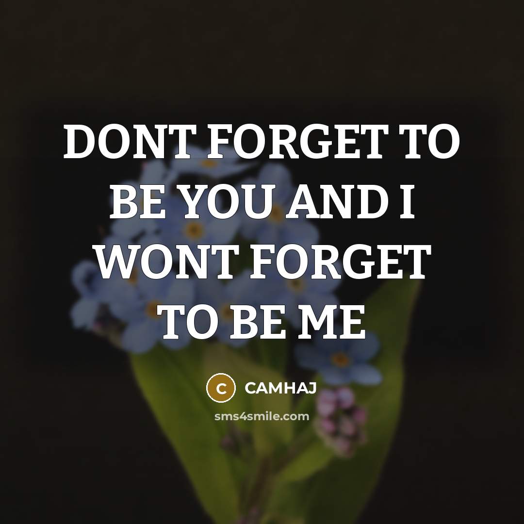“DONT FORGET TO BE YOU AND I WONT FORGET TO BE ME” quote by CAMHAJ
