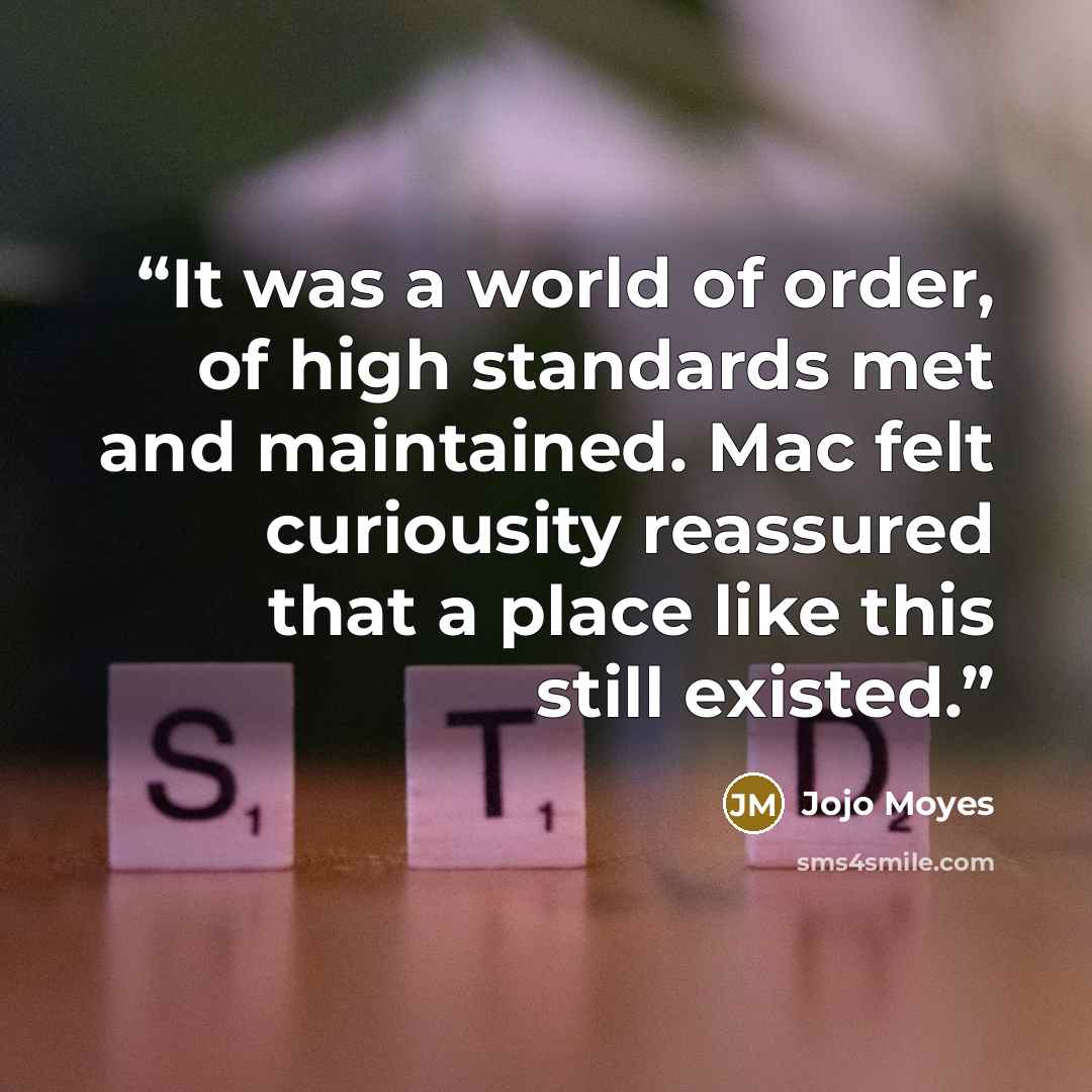 “It was a world of order, of high standards met and maintained. Mac felt curiousity reassured that a place like this still existed.” quote by Jojo Moyes