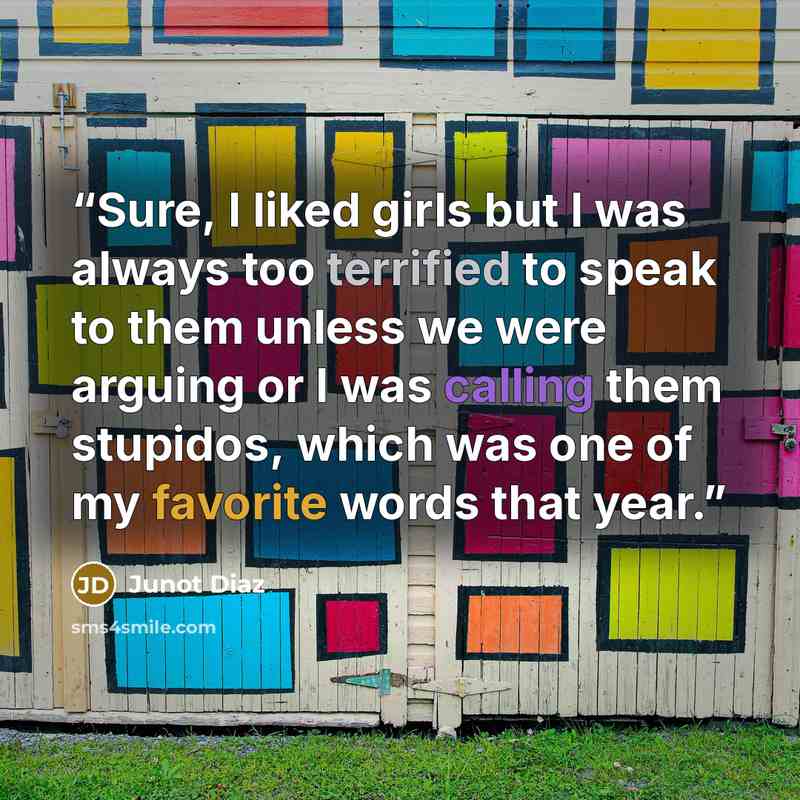 “Sure, I liked girls but I was always too terrified to speak to them unless we were arguing or I was calling them stupidos, which was one of my favorite words that year.” quote by Junot Díaz