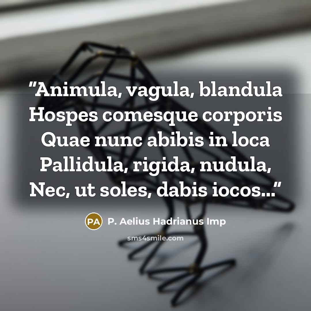 “Animula, vagula, blandula Hospes comesque corporis Quae nunc abibis in loca Pallidula, rigida, nudula, Nec, ut soles, dabis iocos...” quote by P. Aelius Hadrianus Imp