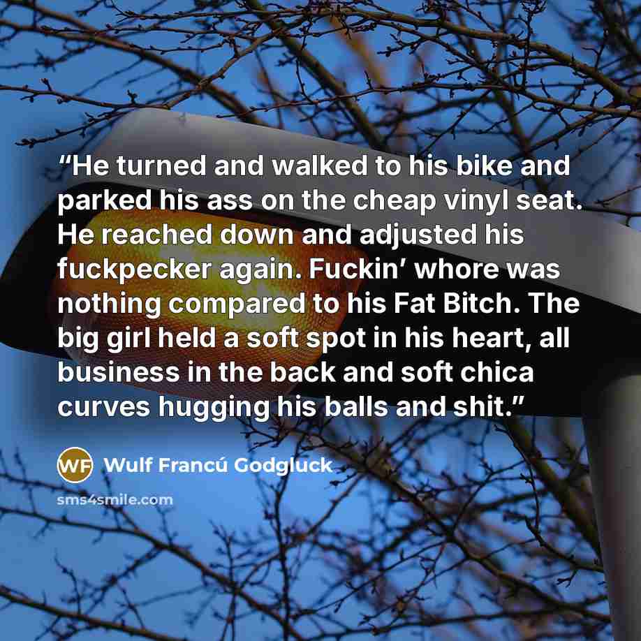 “He turned and walked to his bike and parked his ass on the cheap vinyl seat. He reached down and adjusted his fuckpecker again. Fuckin’ whore was nothing compared to his Fat Bitch. The big girl held a soft spot in his heart, all business in the back and soft chica curves hugging his balls and shit.” quote by Wulf Francú Godgluck