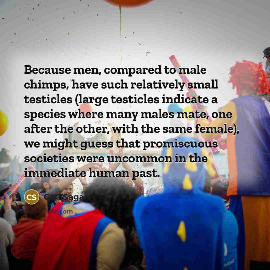 “Because men, compared to male chimps, have such relatively small testicles (large testicles indicate a species where many males mate, one after the other, with the same female), we might guess that promiscuous societies were uncommon in the immediate human past.” quote by Carl Sagan