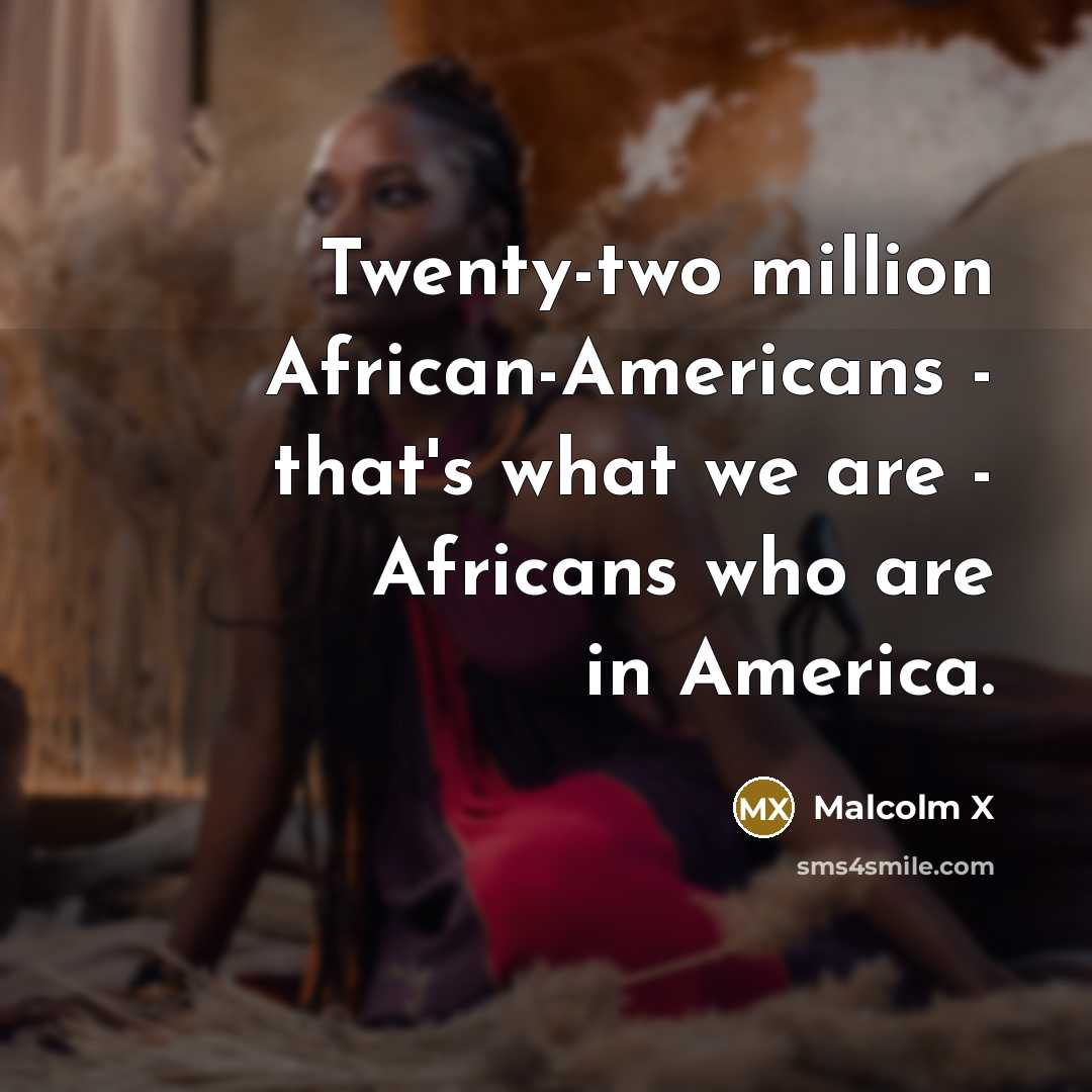 “Twenty-two million African-Americans - that's what we are - Africans who are in America.” quote by Malcolm X