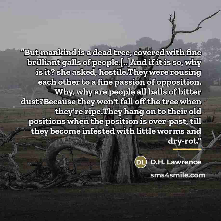 “But mankind is a dead tree, covered with fine brilliant galls of people.[..]And if it is so, why is it? she asked, hostile.They were rousing each other to a fine passion of opposition. Why, why are people all balls of bitter dust?Because they won't fall off the tree when they're ripe.They hang on…” quote by D.H. Lawrence