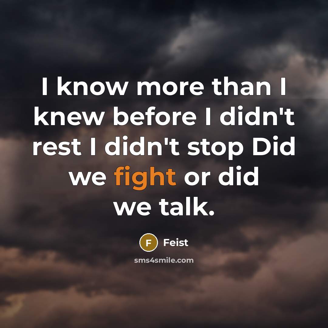 “I know more than I knew before I didn't rest I didn't stop Did we fight or did we talk.” quote by Feist