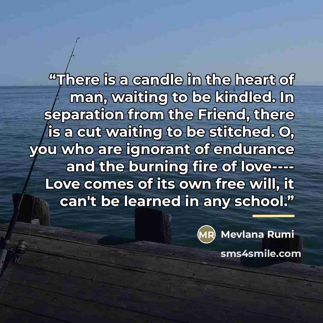 “There is a candle in the heart of man, waiting to be kindled. In separation from the Friend, there is a cut waiting to be stitched. O, you who are ignorant of endurance and the burning fire of love---- Love comes of its own free will, it can't be learned in any school.” quote by Anonymous