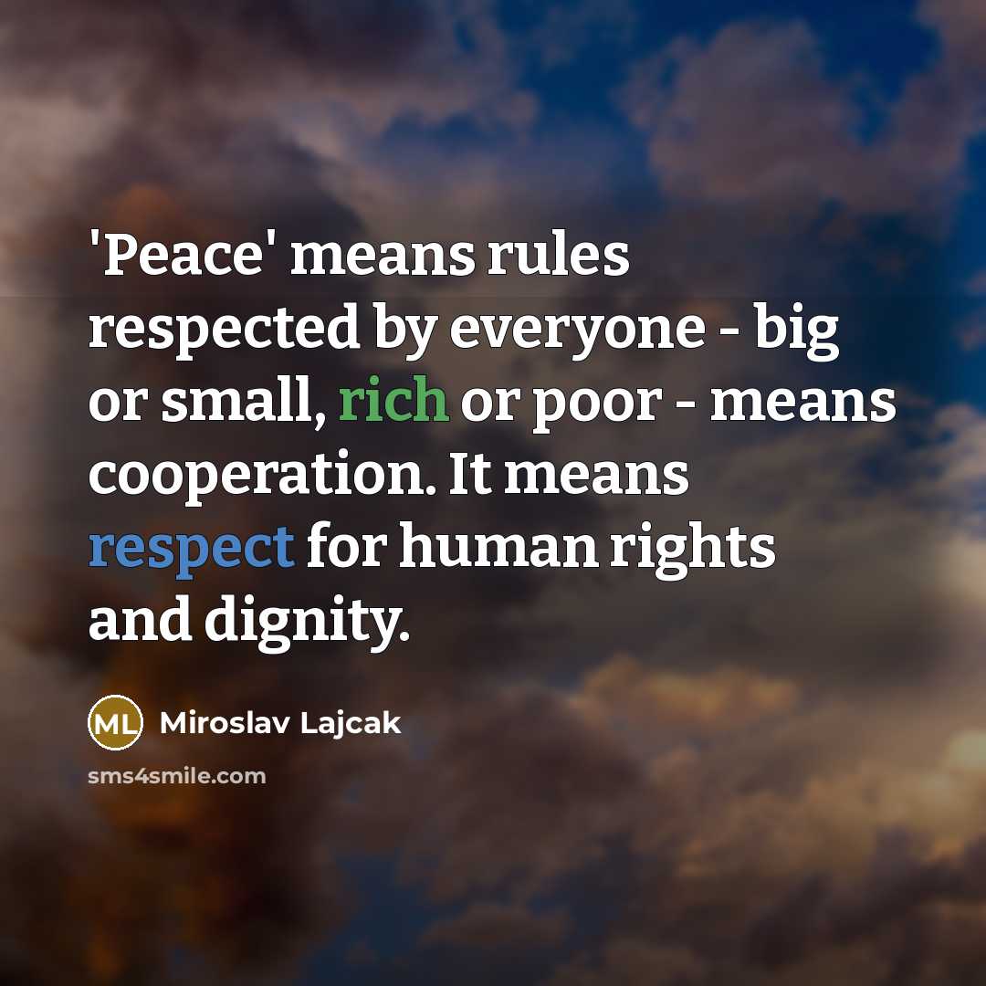 “'Peace' means rules respected by everyone - big or small, rich or poor - means cooperation. It means respect for human rights and dignity.” quote by Miroslav Lajcak